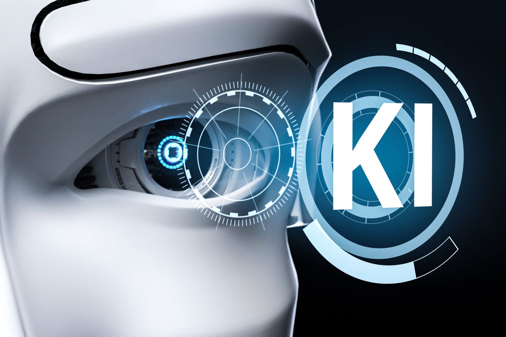 AdobeStock_244949567-scaled